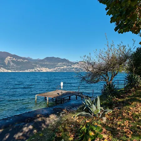 Apartment Sayonara By Gardenjoy