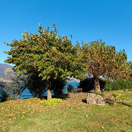 Apartment Sayonara By Gardenjoy *