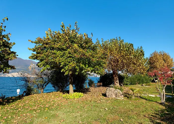 아파트 Sayonara By Gardenjoy *