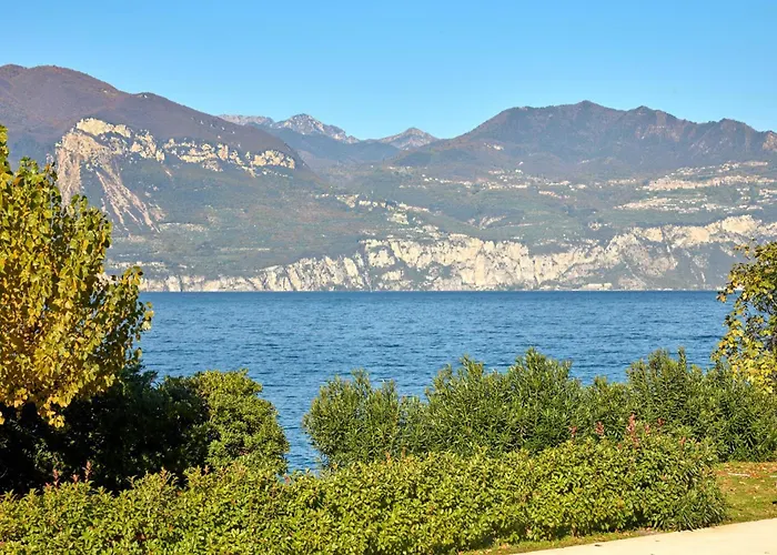 Sayonara By Gardenjoy *